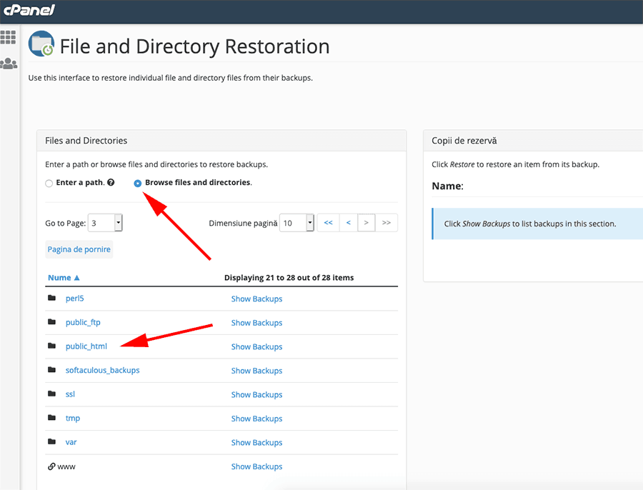 تفعيل Browse files and directories ثم اختيار public_html.