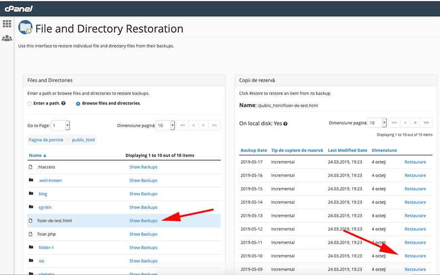 اختيار ملف ونسخة احتياطية بتاريخ محدد ثم Restore.